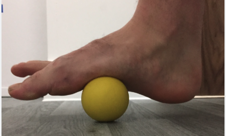 roll out fascia with lacrosse ball